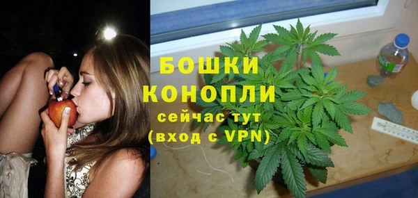 крисы Строитель