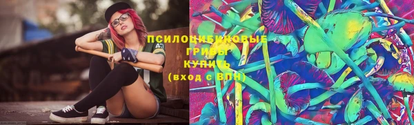 крисы Строитель