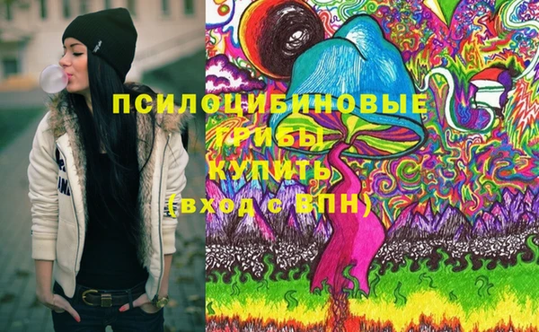 гашик Струнино