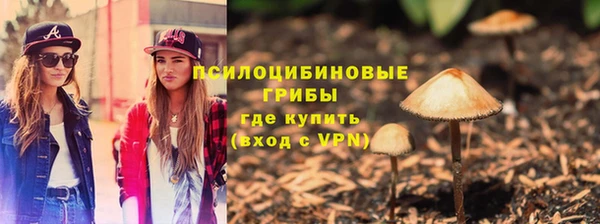 крисы Строитель