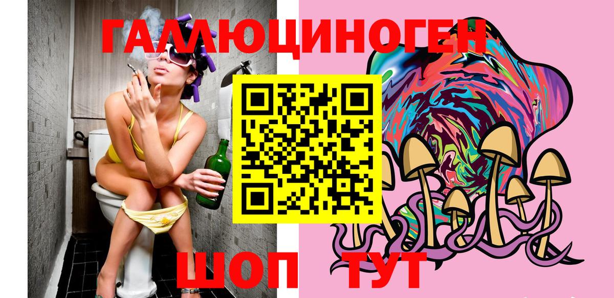 Торжок  Псилоцибиновые грибы MAGIC MUSHROOMS  Вход с VPN 